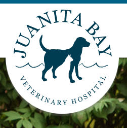 Juanita-Bay-Vet-Hospital