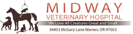 Midway-Veterinary-Hospital