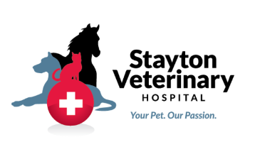 Stayton-Vet-Hospital